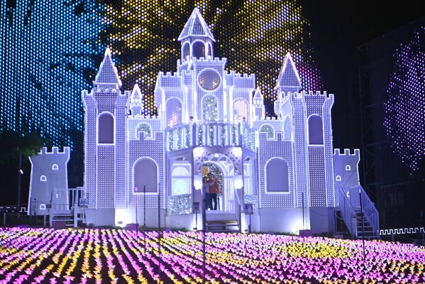 幻想的な光が園内を彩るイルミネーション＝17日午後６時25分、足利市迫間町