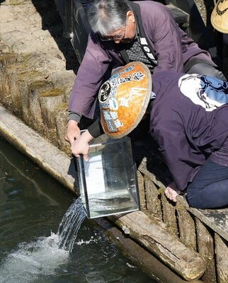 元気になったナマズを放流する船頭ら