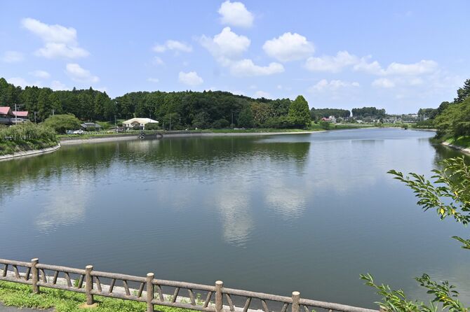 岡田宗山によって築造された唐桶溜