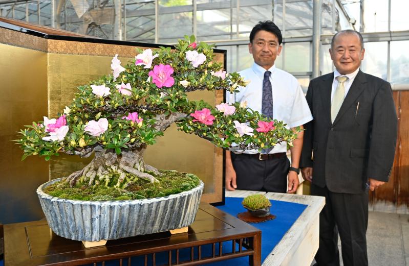 益子焼とサツキ共演で世界にアピール 大型の植木鉢展示へ 「鹿沼さつき