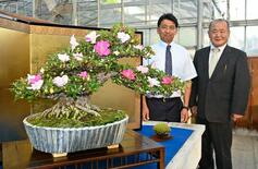 益子焼とサツキ共演で世界にアピール　大型の植木鉢展示へ　「鹿沼さつき祭…