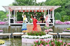 バラに囲まれフラメンコ披露 あしかがフラワーパークで祭典