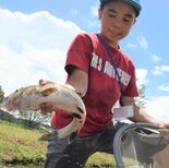 触れて学ぼう「とちぎのさかな」　大田原で４年ぶりサマースクール　県水産…
