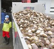 【中国が日本産水産物の輸入停止】譲れない一線、解決見えず