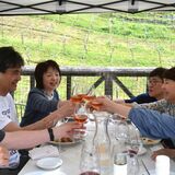 ブドウ畑でワイン楽しんで　足利のココ・ファームで恒例イベント