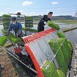 一足早い田植え始まる　大田原【動画】
