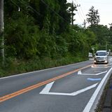 栃木県内で車とクマの事故２件続く　日光と那須塩原、現場近くに住宅　運転手らにけがなし