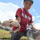 触れて学ぼう「とちぎのさかな」　大田原で４年ぶりサマースクール　県水産試験場