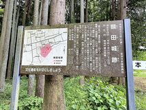 額田城