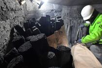 「下野菊花炭」生産始まる　市貝