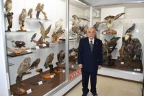 芳村野鳥自然博物館リニューアル　宇都宮