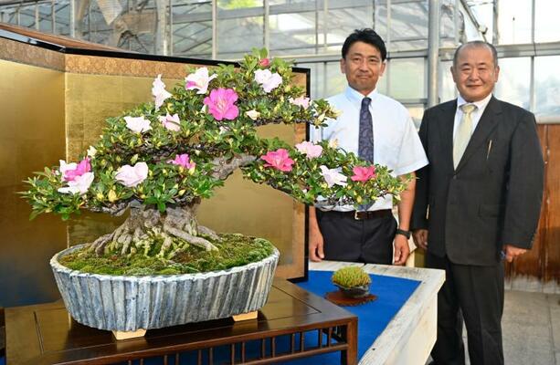 益子焼に植えたサツキと小林さん（左）、佐久間さん