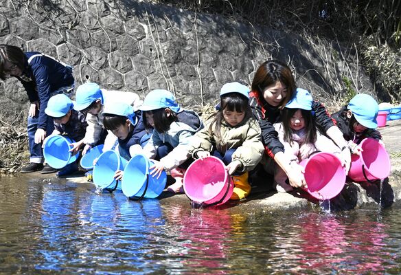 キンブナを放流する市貝たいよう幼稚園の園児たち