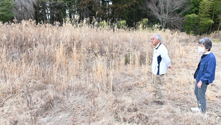荒れた自宅跡地を見つめる吉田さん夫妻。郷愁がこみ上げる＝２月下旬、福島県富岡町新夜ノ森