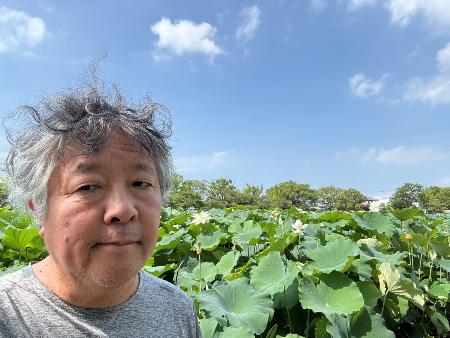 　佐賀市の佐賀城公園のハス＝筆者提供