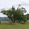 松尾芭蕉が那須で訪れた場所は？　印象的な作品残した足跡たどる
