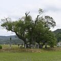松尾芭蕉が那須で訪れた場所は？　印象的な作品残した足跡たどる