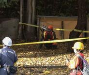 クマ対策で「緊急銃猟」指針改定