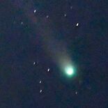 緑色に輝く「レモン彗星」　日光の北山さんが撮影成功　今後の撮影ベストチ…