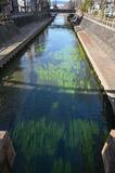 心まで潤す「水の都」