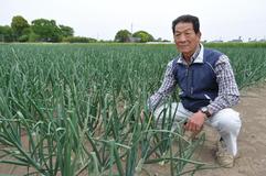 ＜142＞健康志向の万能野菜　JAうつのみやのタマネギ