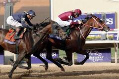 フォーエバーヤングが代表馬受賞