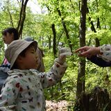学んで遊んで春楽しむ　生き物いっぱい里山の魅力体験　上三川