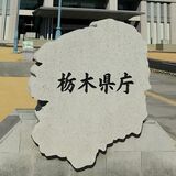 外来カミキリ日光で初確認　県内12市町目　県などが被害調査へ