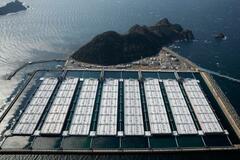 【イラン情勢と日本政府対応】難局打開へ「合わせ技」