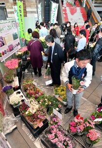県庁で県産花き販売　宇都宮