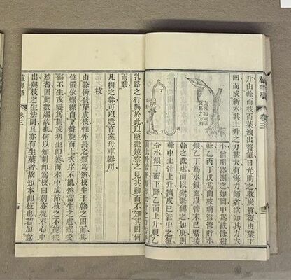 版木から印刷された「翻刻植物学」
