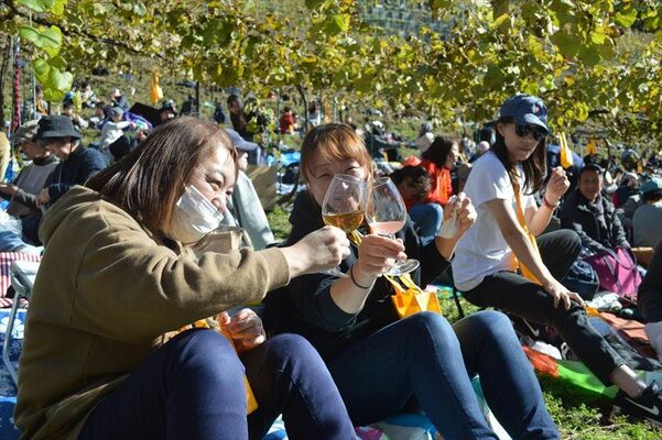ブドウ畑で乾杯する来場者