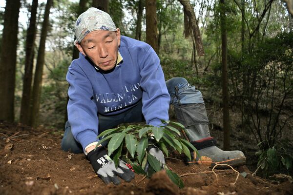 地元の山林を整備する田中さん。震災を機に東京電力を退職し、地域に根ざした活動に取り組む＝２月下旬、佐野市多田町、磯真奈美撮影