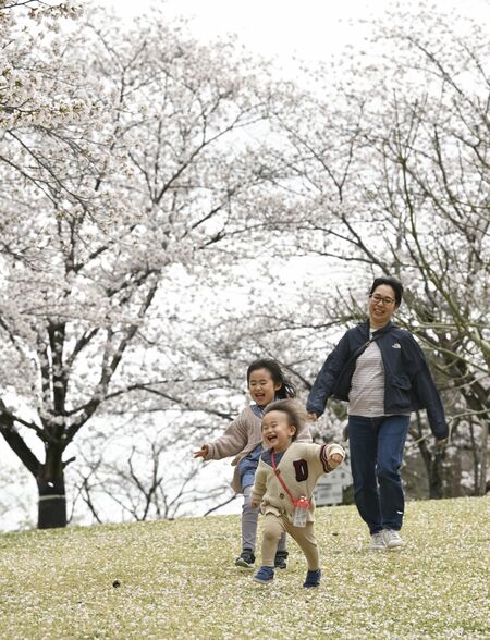 足利公園（足利市）