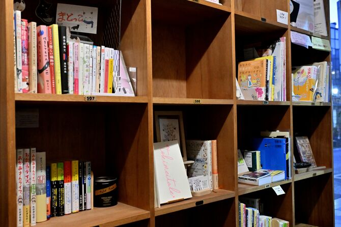 棚を借りる多様な「棚主」の個性豊かな本が並ぶ店内＝３月19日午後６時５分、宇都宮市曲師町、近藤文則撮影