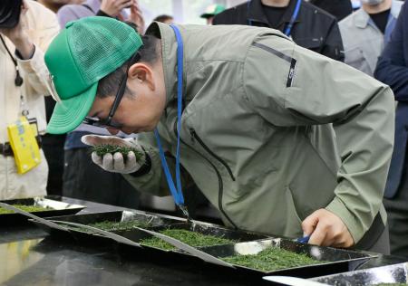 静岡新茶、最高値118万円 初取引