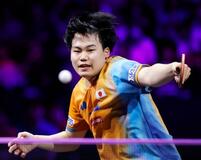 松島、張本智らが２回戦へ
