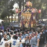 真岡・千代ケ岡八幡宮で大みこし運行　秋の例祭で初、大きさは栃木県内有数