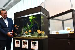 生き物と折り紙コラボ