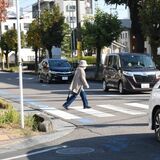 歩行者からの「どうぞ」で渡ったら違反？　自転車の横断にはゆずるべき？　横断歩道の取り締まりどこまで