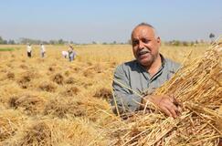 【イラン情勢と農業】肥料高騰、世界農業を直撃