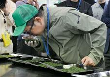 静岡新茶、最高値１１８万円