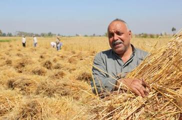 【イラン情勢と農業】肥料高騰、世界農業を直撃