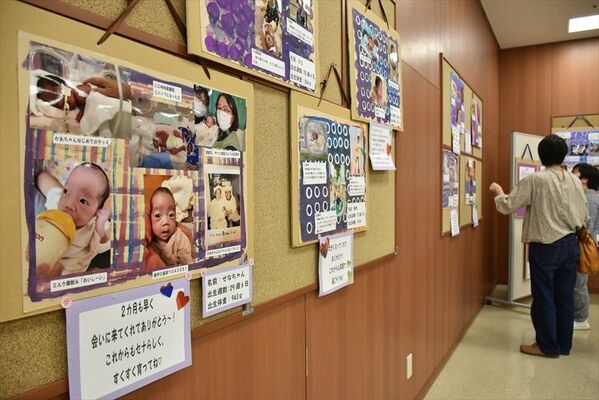 28人のリトルベビーが紹介されている写真展