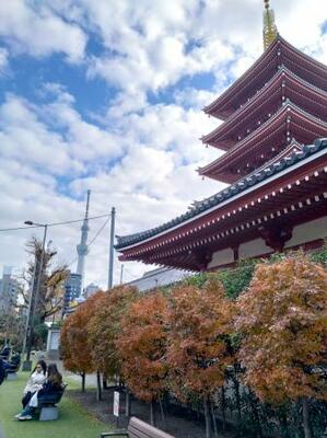 　浅草寺の五重塔。向こうに東京スカイツリーが見える＝東京都台東区