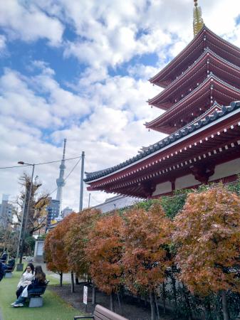 　浅草寺の五重塔。向こうに東京スカイツリーが見える＝東京都台東区