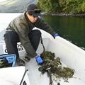奥日光・中禅寺湖の湖底清掃に同行取材　どんなごみが見つかった？　釣り人中心で活動、根底にある思い