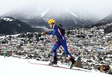 混合リレー、フランスが初代王者