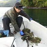 奥日光・中禅寺湖の湖底清掃に同行取材　どんなごみが見つかった？　釣り人…