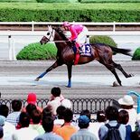 「栃木の怪物」ブライアンズロマン死ぬ　宇都宮競馬場の名馬、32歳の大往生